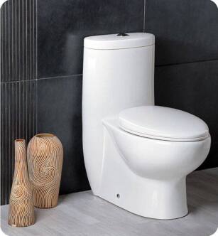 Fresca FTL2309 Delphinus One Piece Dual Flush Toilet with Soft Close Seat