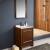 Fresca FVN8125WG Allier 24" Modern Bathroom Vanity with Mirror in Wenge Brown