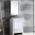 Fresca FVN8125WH Allier 24" Modern Bathroom Vanity with Mirror in Glossy White