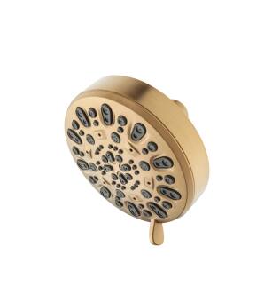 Isenberg 200.6140BB 6 Function ABS Showerhead in Brushed Bronze PVD