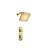 Isenberg 230.7000SB Single Output Shower Set With Shower Head And Arm in Satin Brass PVD