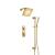 Iseneberg 230.7350SB Two Output Shower Set With Shower Head, Hand Held And Slide Bar in Satin Brass PVD