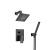 Isenberg 160.3250MB Two Output Shower Set With Shower Head And Hand Held in Matte Black