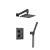 Isenberg 160.7050MB Two Output Shower Set With Shower Head And Hand Held in Matte Black