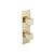 Isenberg 196.2740SB 3/4" Thermostatic Shower Valve and Trim with Two Output in Satin Brass PVD