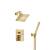 Isenberg 196.3250SB Two Output Shower Set With Shower Head And Hand Held in Satin Brass PVD