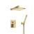 Isenberg 196.3300SB Two Output Shower Set With Shower Head And Hand Held in Satin Brass PVD