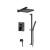 Isenberg 196.3350MB Two Output Shower Set With Shower Head, Hand Held And Slide Bar in Matte Black