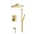 Isenberg 196.3350SB Two Output Shower Set With Shower Head, Hand Held And Slide Bar in Satin Brass PVD