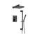 Isenberg 196.3450MB Two Output Shower Set With Shower Head, Hand Held And Slide Bar in Matte Black