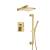 Isenberg 196.3450SB Two Output Shower Set With Shower Head, Hand Held And Slide Bar in Satin Brass PVD