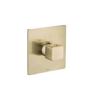 Flusso 196.4201SB 3/4" Thermostatic Valve With Trim in Satin Brass PVD