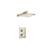 Isenberg 196.7000BN Single Output Shower Set With Shower Head And Arm in Brushed Nickel PVD