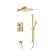Isenberg 196.7100SB Two Output Shower Set With Shower Head, Hand Held And Slide Bar in Satin Brass PVD