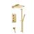Isenberg 196.7200SB Two Output Shower Set With Shower Head, Hand Held And Slide Bar in Satin Brass PVD