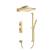Isenberg 196.7300SB Two Output Shower Set With Shower Head, Hand Held And Slide Bar in Satin Brass PVD
