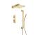 Isenberg 196.7350SB Two Output Shower Set With Shower Head, Hand Held And Slide Bar in Satin Brass PVD