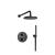 Isenberg 250.7050MB Two Output Shower Set With Shower Head And Hand Held in Matte Black