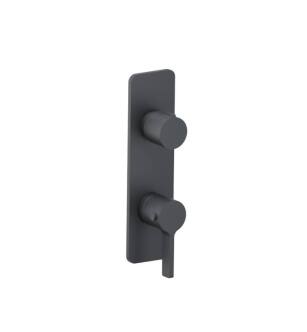 Flusso 260.2720RG 3/4" Horizontal Thermostatic Shower Valve And Trim With 1 Output in Rock Gray