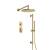 Isenberg 260.7350SB Two Output Shower Set With Shower Head, Hand Held And Slide Bar in Satin Brass PVD