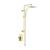 KIBI USA KSC404BG Cube Pressure Balanced 2 Function Shower Column with Rough In Valve in Brushed Gold