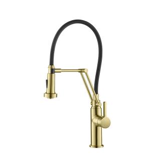 KIBI USA KKF2014BG Engel Single Handle Pull Down Kitchen Faucet