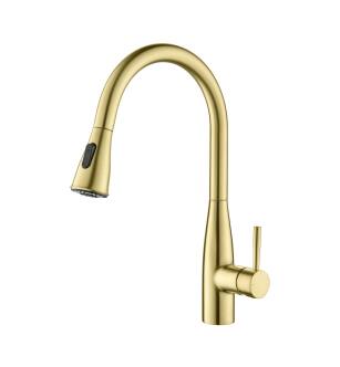 KIBI USA KKF2016BG Bari-T Single Handle Pull Down Kitchen Sink Faucet