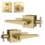 Mega Handles SE9CSB Schein Entry Combo Sb in Satin Brass/Gold