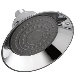 Peerless Other RP70537 Shower Head - Raincan in Chrome