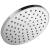 Peerless Universal Showering Components 76167 1-Setting Shower Head in Chrome