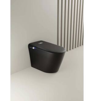 Trone 935263 Complete Electronic Bidet Faucet in Matte Black