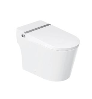 Trone 908163 ZETBCDER-12.WH Zendoro Complete Electronic Bidet Toilet in White