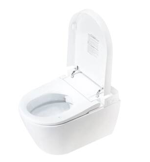 Trone 927878 Bidet Toilet With In Wall Tank And Chrome Push Plate in White